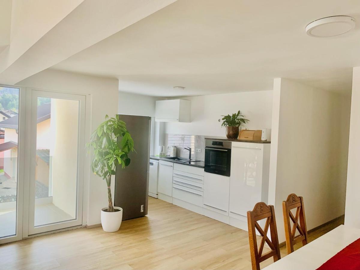 Apartma Frigo Maribor Extérieur photo