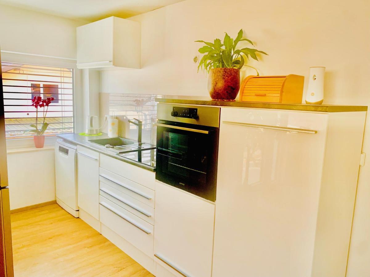 Apartma Frigo Maribor Extérieur photo